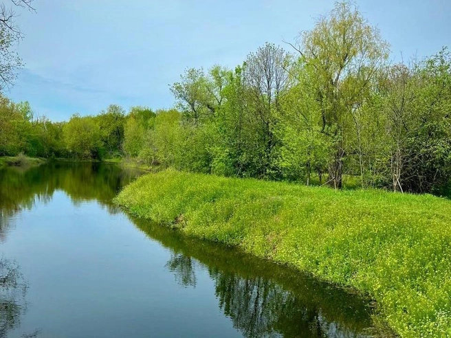 Много воды, ярко-зеленая трава — настоящая красота! | Источник: Надежда Король
