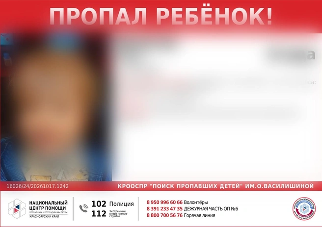 Младший из пропавших | Источник: «ПОИСК ПРОПАВШИХ ДЕТЕЙ» им. ОКСАНЫ ВАСИЛИШИНОЙ / vk.ru