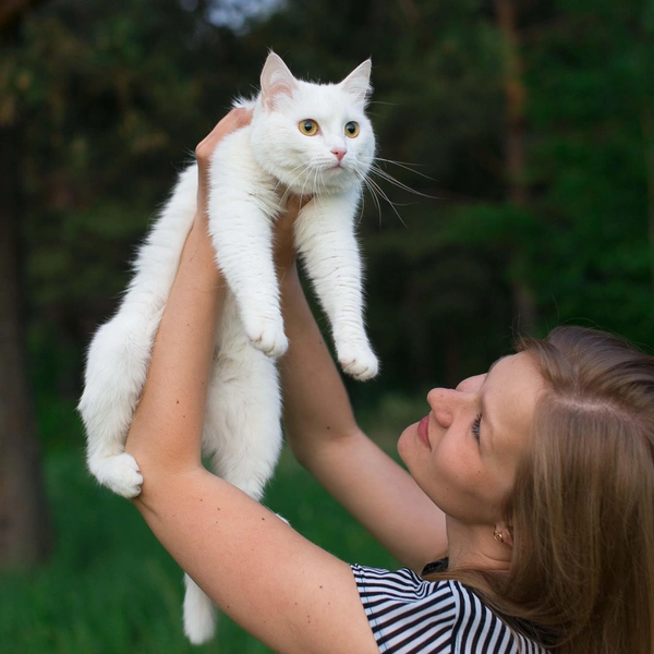 Как живет самая популярная кошка в России: 20 фото, которые вызывают зависть | Источник: личный архив