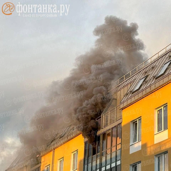 Пожар произошел в квартире на улице Струве. Из окон шел густой черный дым | Источник: читатель «Фонтанки»