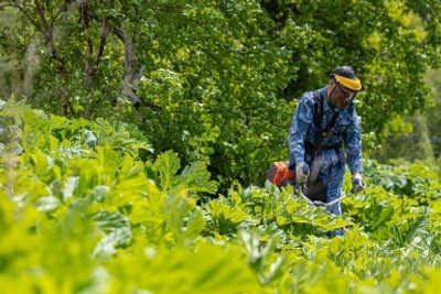 Депутат предлагает запретить татуировки несовершеннолетним