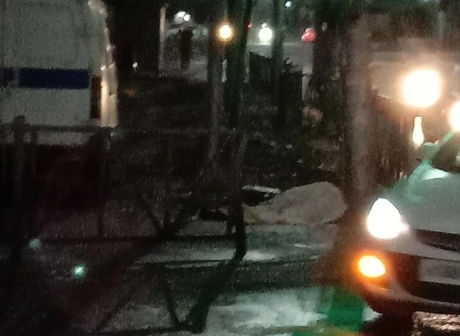 В центре Рязани умер молодой человек | ya62.ru
