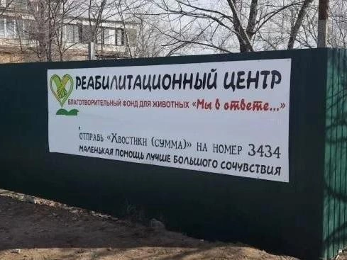 Территорию сейчас занимает приют для животных | Источник: avito.ru