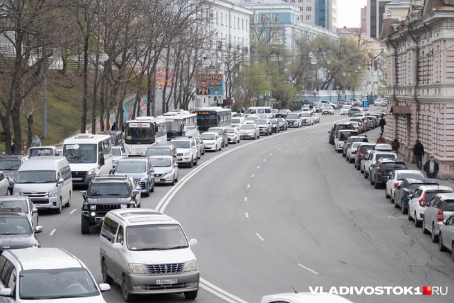 Источник: Елена Буйвол / VLADIVOSTOK1.RU
