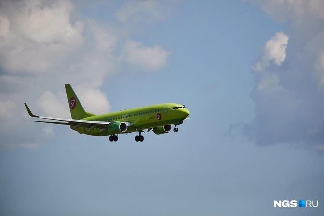На авиакомпанию пожаловались пассажиры | Источник: Александр Ощепков / NGS.RU