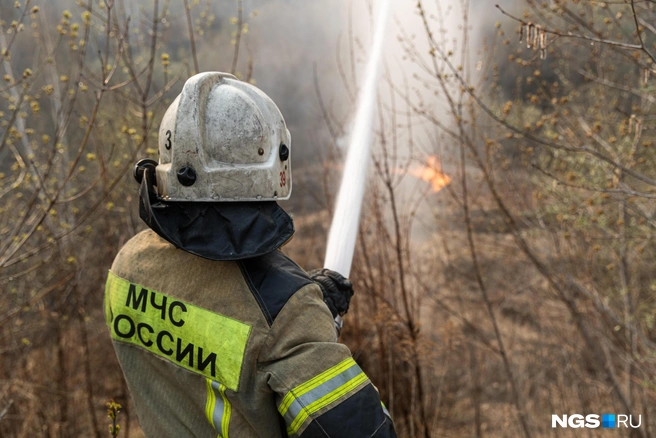 Министерство организовало постоянный мониторинг приграничных районов Новосибирской области с теми, где горят леса | Источник: Александр Ощепков / NGS.RU