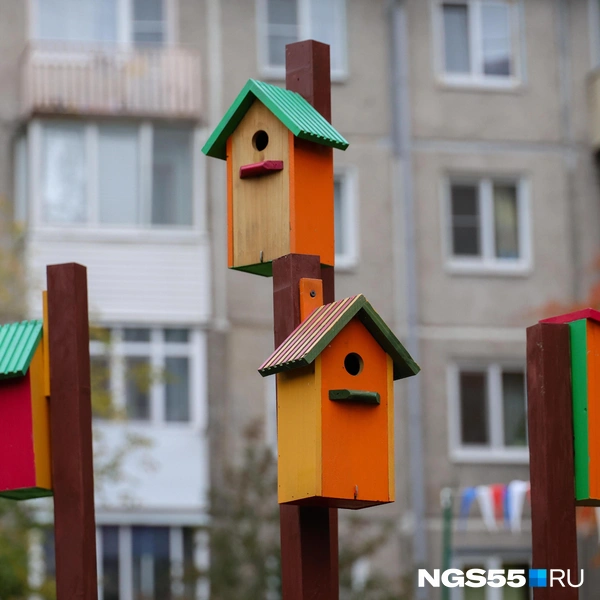 Многоквартирный птичий уголок | Источник: Евгений Софийчук / NGS55.RU