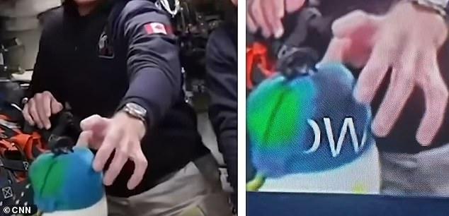 Та самая надпись на игрушке | Источник: dailymail.co.uk