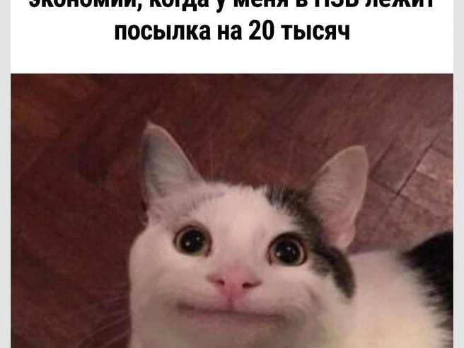 Как сказать-то… | Источник: Городские медиа