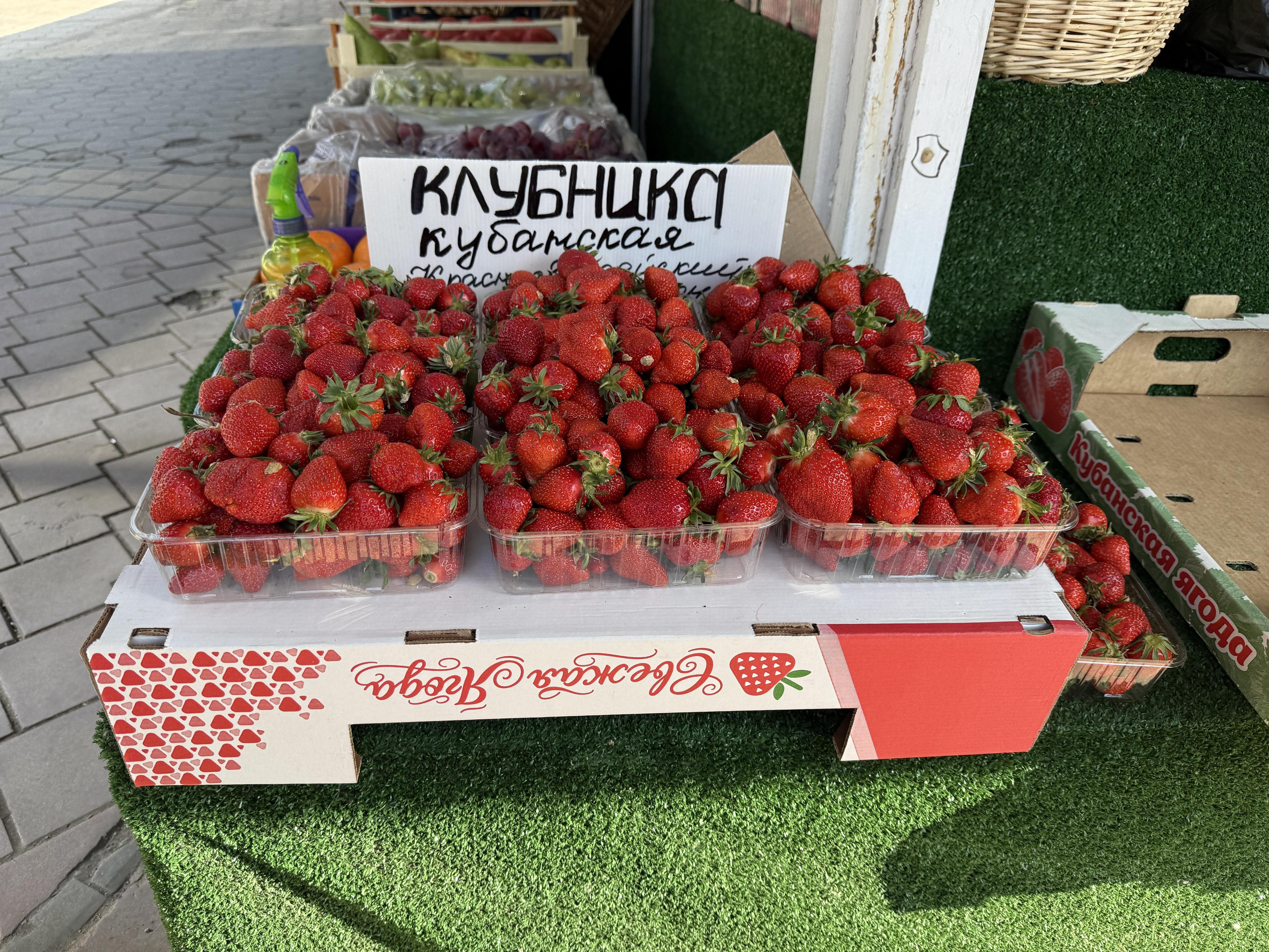 Местная бомба! Сколько стоит клубника на рынках Краснодара?