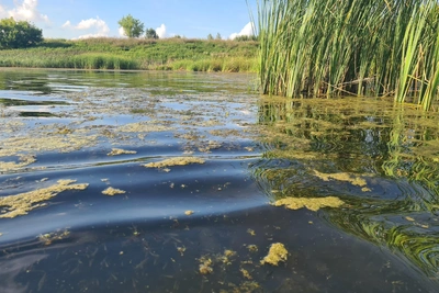Рязанские пляжи закрыли с 1 сентября