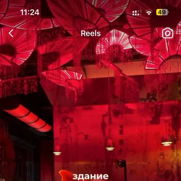Источник: beautiful.criminals / Instagram*