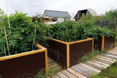 Primorsky Krai prepares telecom infrastructure for gardening season