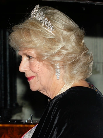 Камилла по дороге на дипломатический прием во дворце, 2 декабря 2014