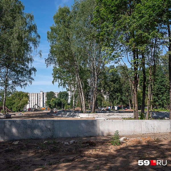 Сквер делят на разные зоны | Источник: Василина Любимова / 59.RU