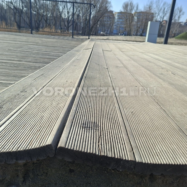 Источник: Алёна Воропаева/ Voronezh1.ru