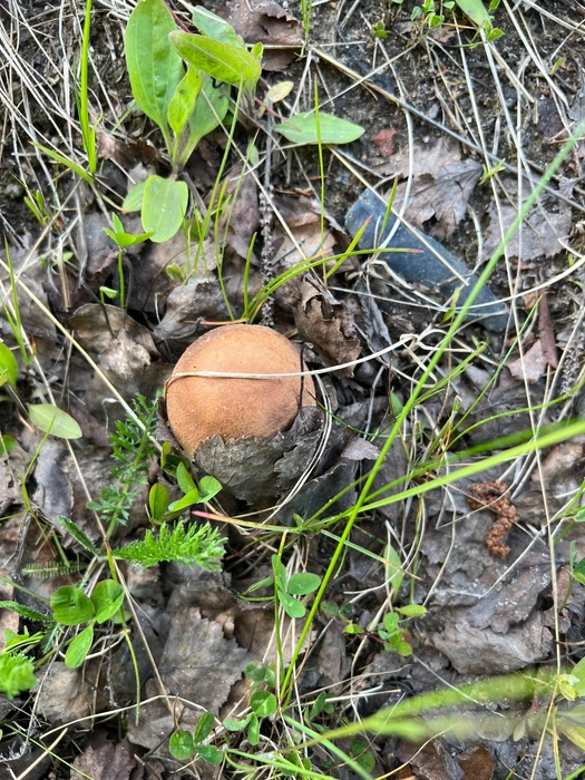 Источник: Наталия Петрунина