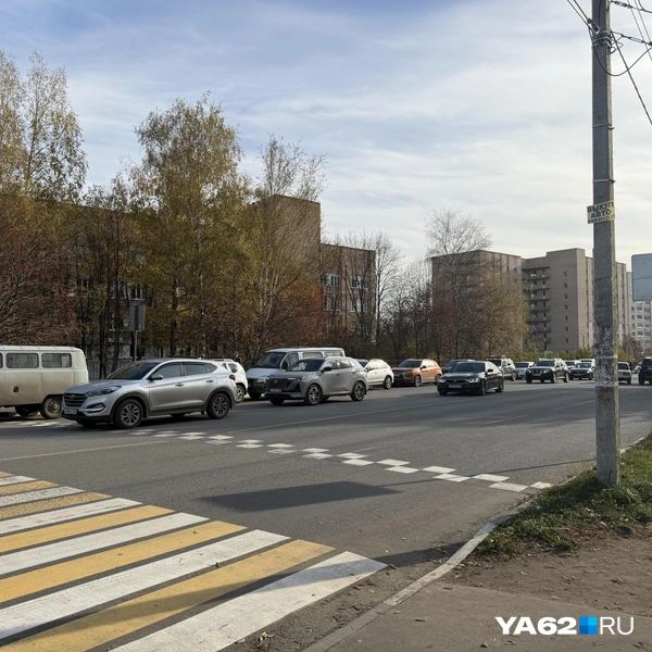 Пешеходные переходы действительно обустроены | Источник: Нелли Козловская / YA62.RU