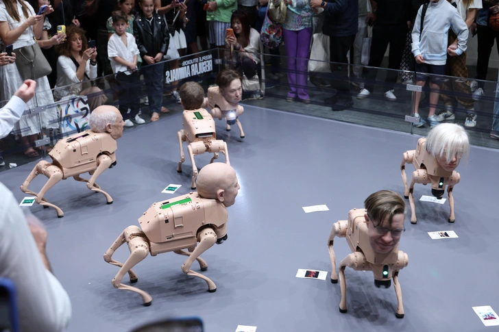 Собака-Маск испражняется — извольте съесть: урок реальности от художника Бипла