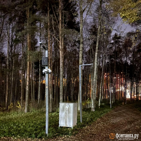 Источник: читатель «Фонтанки»