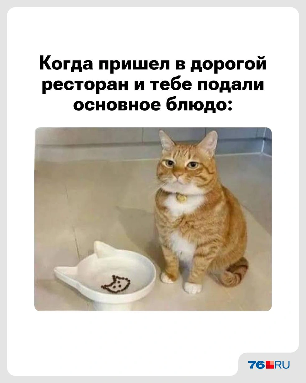 С кем было? | Источник: Городские медиа