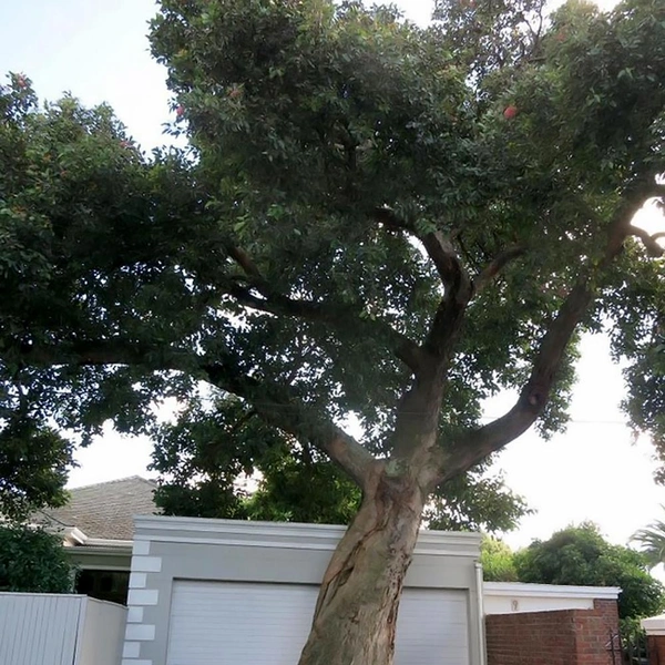 Источник: соцсети