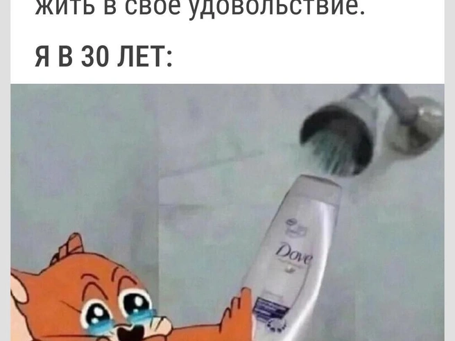 Вот она, взрослая жизнь | Источник: Городские медиа