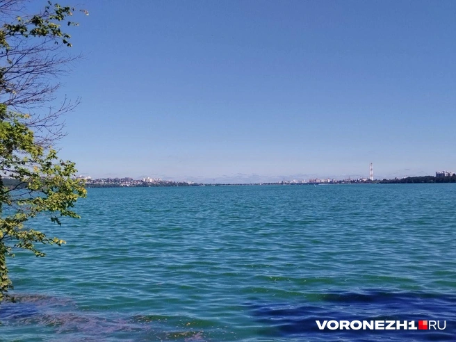Источник: Дмитрий Волгин / Voronezh1.ru