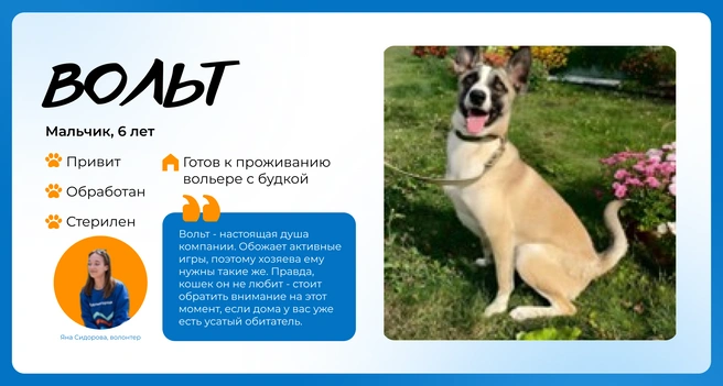 Источник: Василиса Молахова, Евгений Шаров