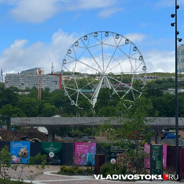 Источник: Елена Буйвол / VLADIVOSTOK1.RU