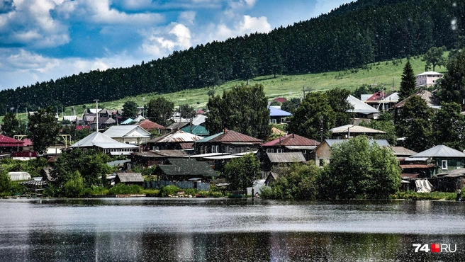 Столько пуха, что снимок выглядит почти зимним. Но куда красивее здесь осенью | Источник: Артем Краснов