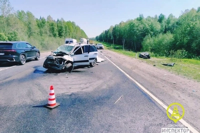 80-летний водитель Лады на обгоне погубил мать и ранил дочь