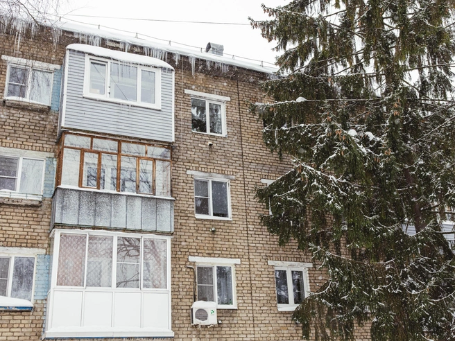 Типичный зимний вид в Пятёрке: раскидистая ель на фоне панельной хрущевки. | Источник: Артем Бауман / 76.RU