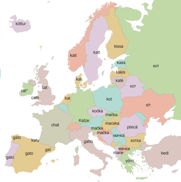 Карта: как произносится слово «кот» на разных европейских языках