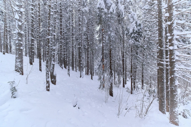Источник: Сергей Коршилов / Vk.com