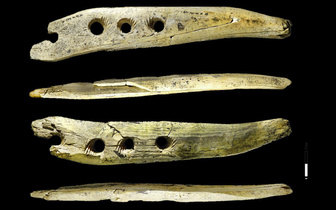 Что изготавливали с помощью таких палок с дырочками 35 тысяч лет назад?