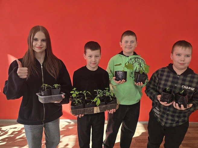 Источник: mincx.novreg.ru