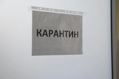 Bashkir Trans-Urals Reimposes Rabies Quarantine