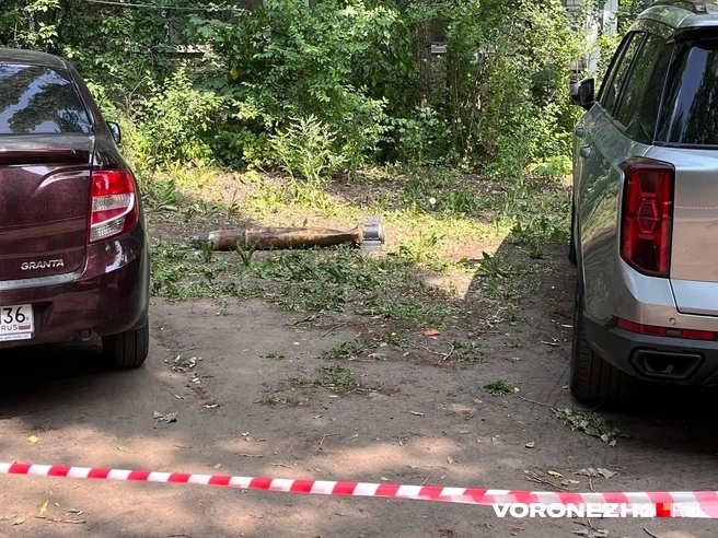 Упавший объект осмотрели взрывотехники | Источник: Полина Листопад / Voronezh1.ru
