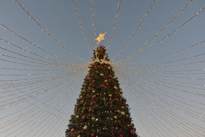 Главная елка Барнаула откроется 26 декабря