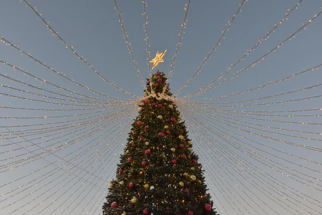 С 25 декабря по 8 января два охранника будут осуществлять круглосуточное патрулирование территории с ежечасными обходами | 142.ru