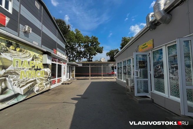 Источник: Елена Буйвол / VLADIVOSTOK1.RU