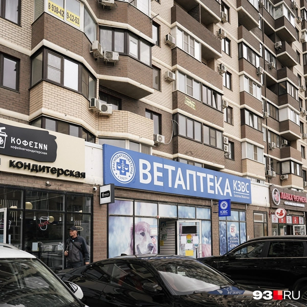 Источник: Дарья Паращенко / 93.RU