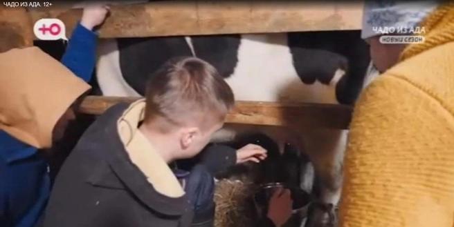 Михаил доит корову | Источник: www.u-tv.ru