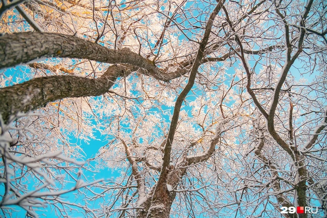 Источник: Иван Митюшёв / 29.RU