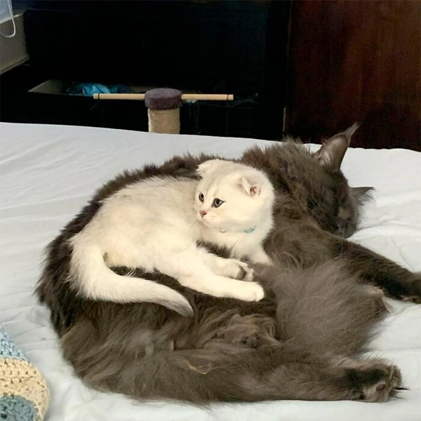 Источник: соцсеть