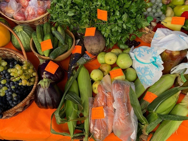 Огурцы, свекла, баклажаны, морковка, яблоки, перцы — всё это можно было купить за небольшие деньги | Источник: Радик Енчу / 72.RU