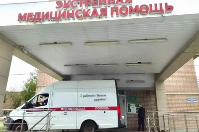 Новгородские врачи спасли мужчину после атаки медведя