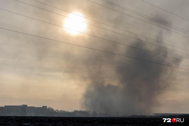 Источник: Ирина Шарова / 72.RU