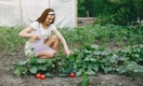 4 золотых правила садовода, которые обеспечат пышные клумбы и урожай всем на зависть